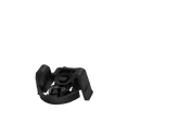 Snapclean Switch